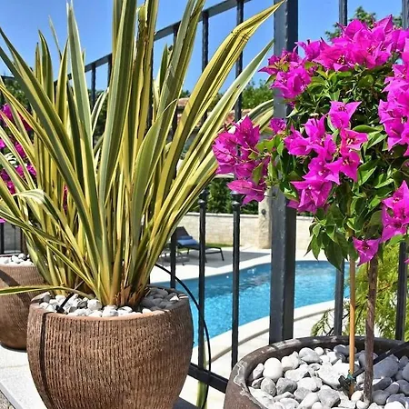 Vacay Zita With Pool Pićan